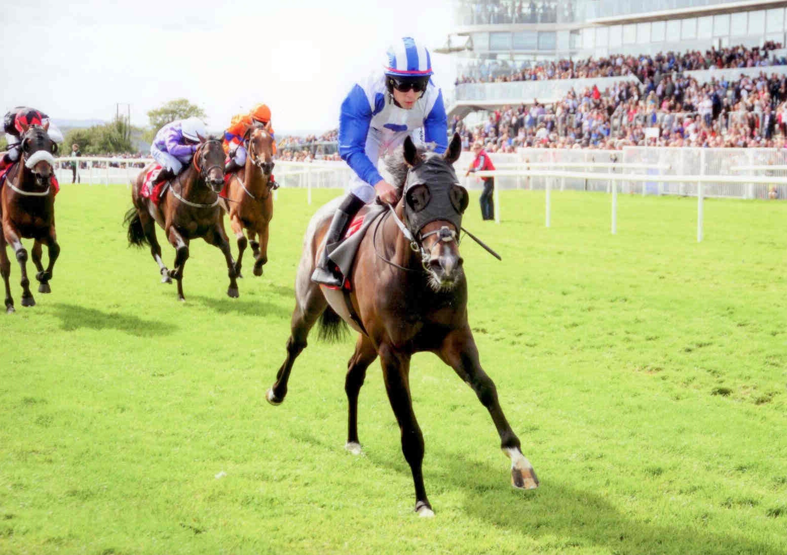 WAIPU COVE powers away at Galway under Leigh Roche